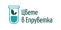 https://cvetevepruvetka.store/